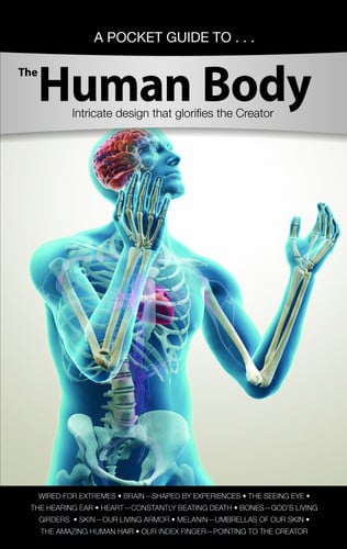 The Human Body: Intricate design that glorifies the Creator