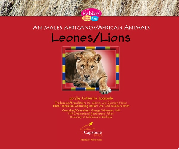 Leones/Lions