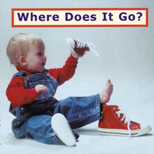 Where Does It Go? (Photoflaps)