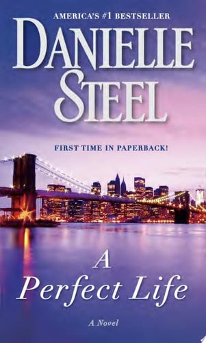 A Perfect Life: A Novel