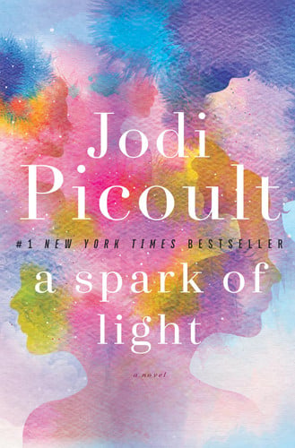 A Spark of Light A Novel