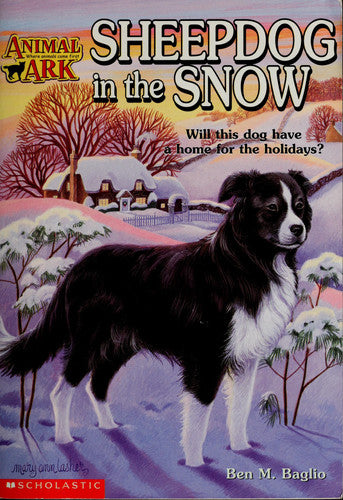 Sheepdog in the Snow