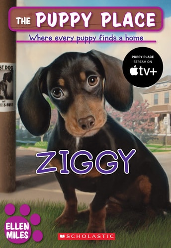 The Puppy Place (23 Box Set: Baxter, Bear, Bella, Buddy, Chewy & Chica, Cody, Flash, Goldie, Honey, Jack, Lucky, Maggie & Max, Muttley, Noodle, Patches, Princess, Pugsley, Rascal, Scout, Shadow, Snowball, Sweetie, and Ziggy)