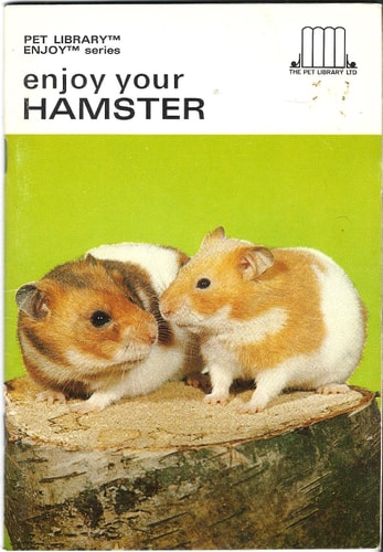 Land Hermit Crabs