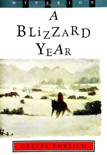 Blizzard Year