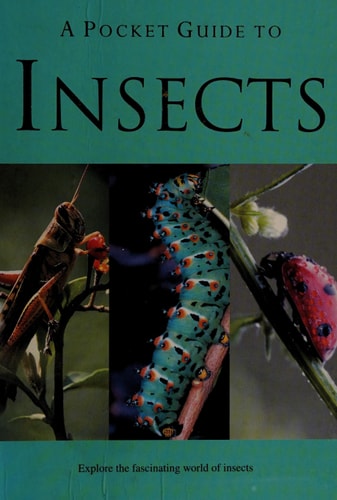 A Pocket Guide to Insects