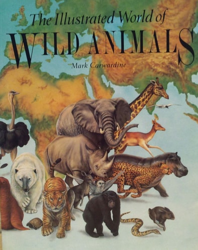 Illustrated World of Wild Animals