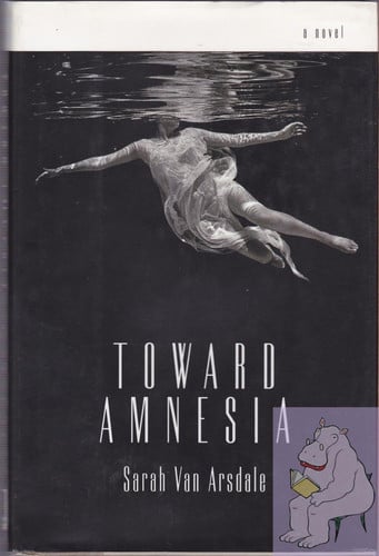 Toward Amnesia