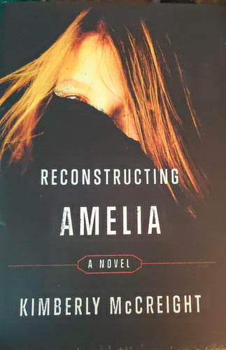 Reconstructing Amelia: A Novel