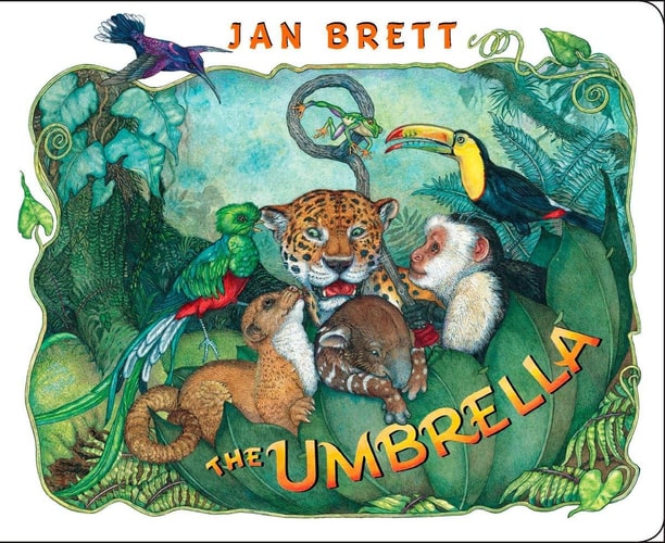 The Umbrella board book