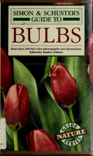 Simon and Schuster Bulbs (Paperback)