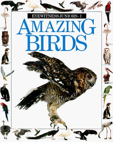 Amazing Birds (Eyewitness Junior)