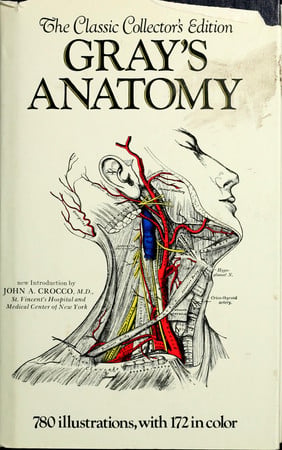 Gray's Anatomy The Anatomical Basis of Medicine and Surgery