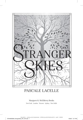 Stranger Skies (The Drowned Gods Trilogy)