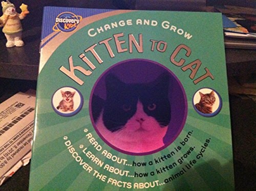 Kitten to Cat