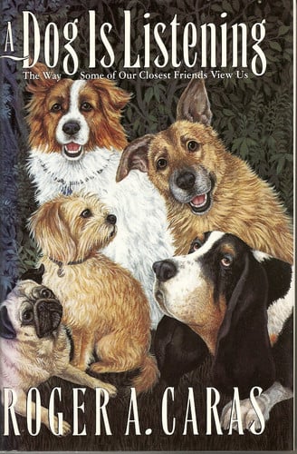 A Dog Is Listening: The Way Some of Our Closest Friends View Us