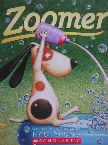 Zoomer