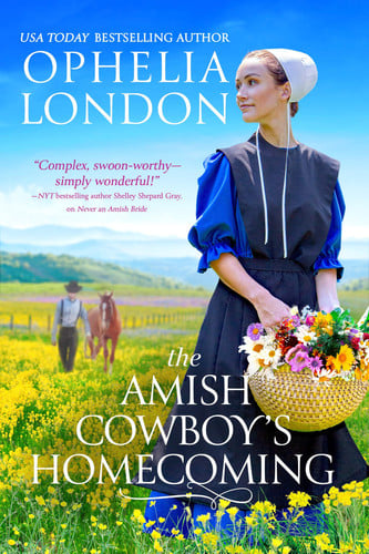 The Amish Cowboy’s Homecoming (Honey Brook, 2)
