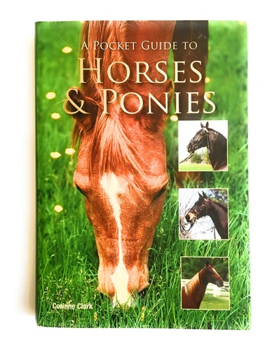 A Pocket Guide to Horses & Ponies