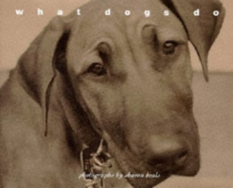 What Dogs Do