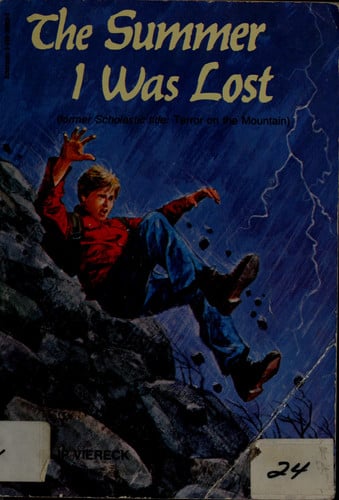 Summer I Was Lost