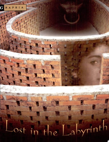 Lost in the Labyrinth