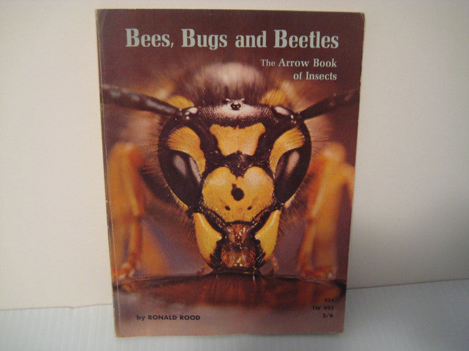 Bees, bugs, and beetles;: The arrow book of insects