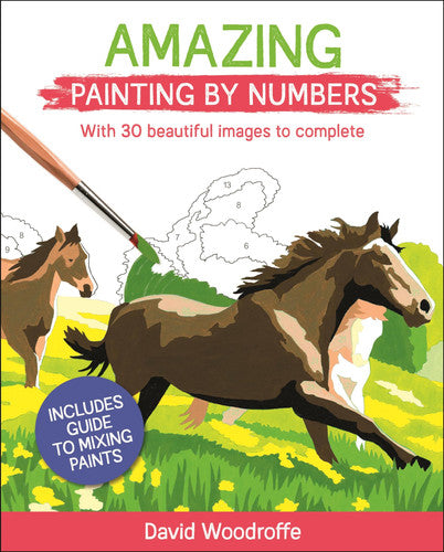 Amazing Painting by Numbers: With 30 Beautiful Images to Complete. Includes Guide to Mixing Paints (Sirius Painting by Numbers, 1)