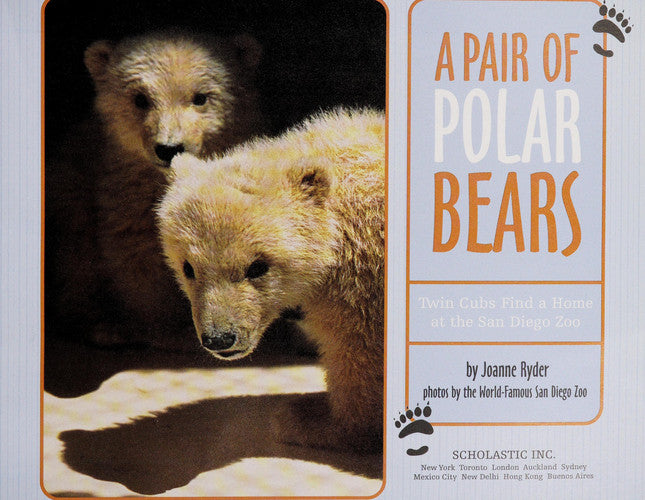A Pair of Polar Bears (Twin Cubs Find a Home at the San Diego Zoo)