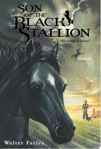 Son of the Black Stallion