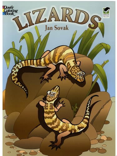Lizards