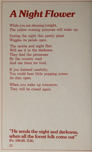 The Good Night Book