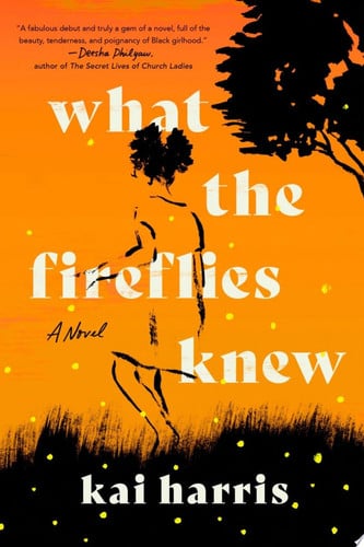 What the Fireflies Knew A Novel