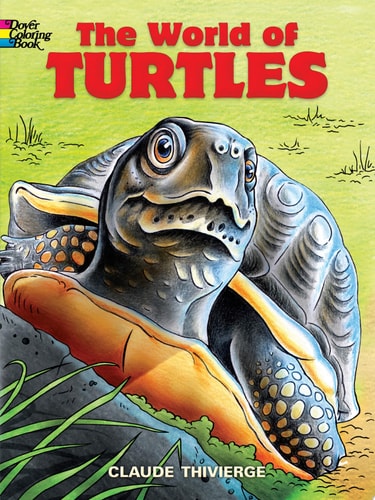 The World of Turtles