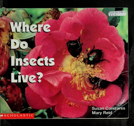 Where Do Insects Live? (Science Emergent Readers)