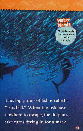National Geographic Kids Readers: Dolphins