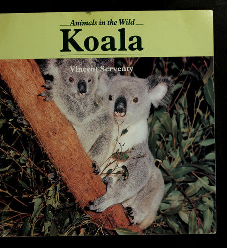 Koala (Animals in the Wild)