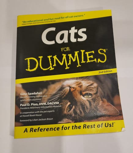 Cats for Dummies