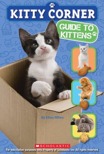 Guide to Kittens
