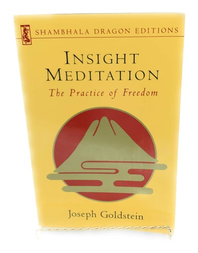 Insight Meditation (Shambhala Dragon Editions)