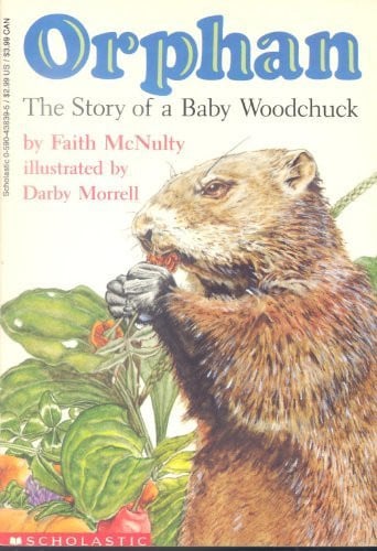 Orphan The Story of A Baby Woodchuck