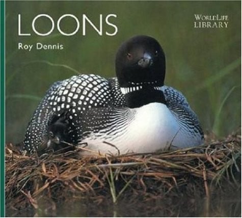 Loons