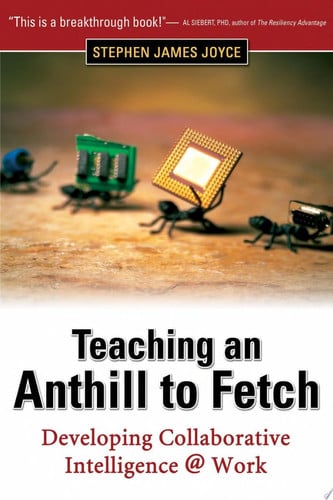Teaching an Anthill to Fetch: Developing Collaborative Intelligence @ Work