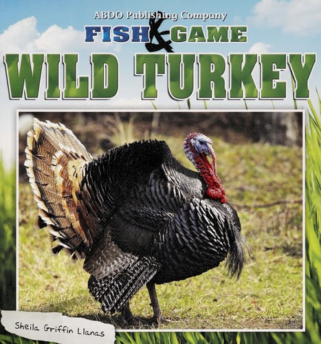 Wild Turkey (Fish & Game)