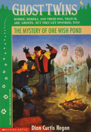 The Mystery of One Wish Pond (Ghost Twins)