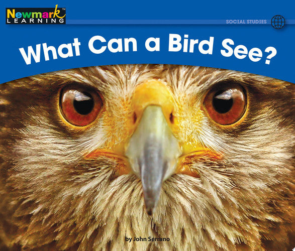 What Can a Bird See? (Rising Readers: Social Studies Set 1: Levels A-d)