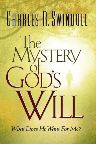 Grace Walk: What You've Always Wanted in The Christian Life