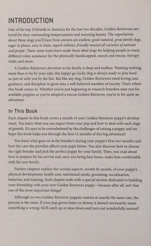 Your Golden Retriever Puppy Month by Month Everything You Need to Know at Each Stage to Ensure Your Cute and Playful Puppy