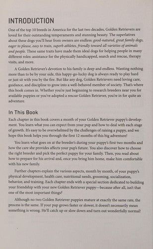 Your Golden Retriever Puppy Month by Month Everything You Need to Know at Each Stage to Ensure Your Cute and Playful Puppy
