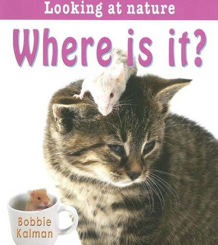 Where Is It?